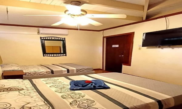 Habitaciones en HOTEL LAS PALMAS Habitaciones en HOTEL LAS PALMAS