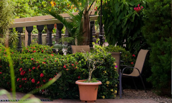 Cuartos en HOTEL MARGARITA DRAKE BAY Quedarse en HOTEL MARGARITA DRAKE BAY